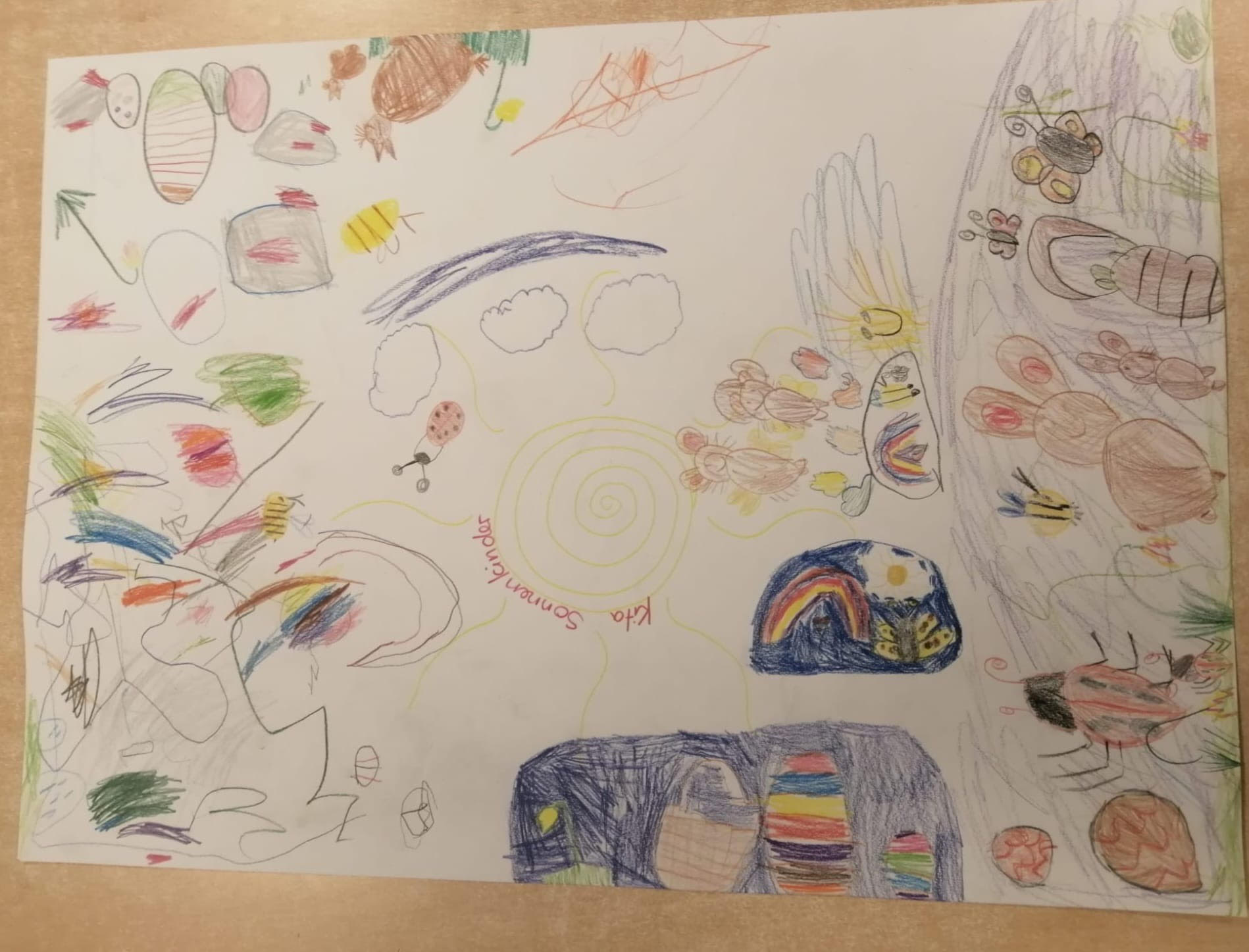 Warum Eltern die Sonnenkinder gewählt haben